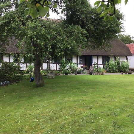Filippavej 80 Bed & Breakfast Vester-Skerninge Exterior foto