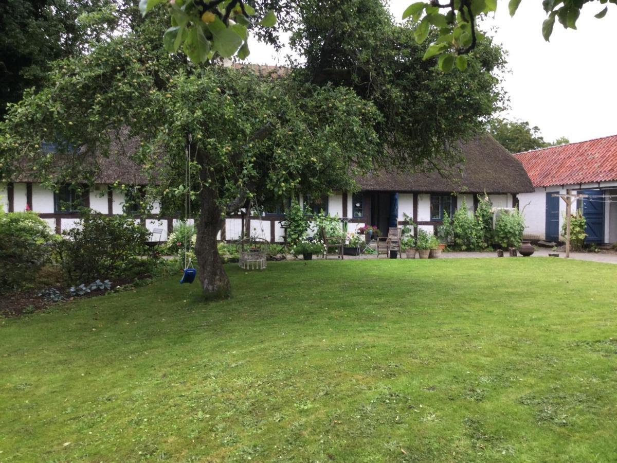 Filippavej 80 Bed & Breakfast Vester-Skerninge Exterior foto